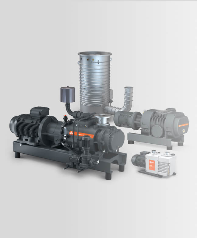 A group of pumps on a white background.